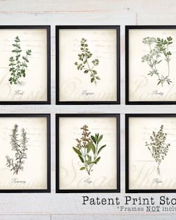 Herb Botanical Art Prints, Kitchen Wall Decor (Set of 6)